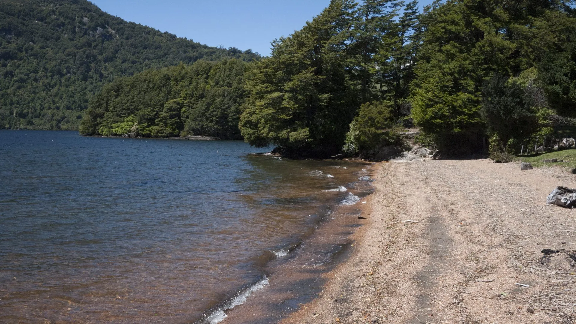 Paisaje natural del proyecto Loteo Río Quetro